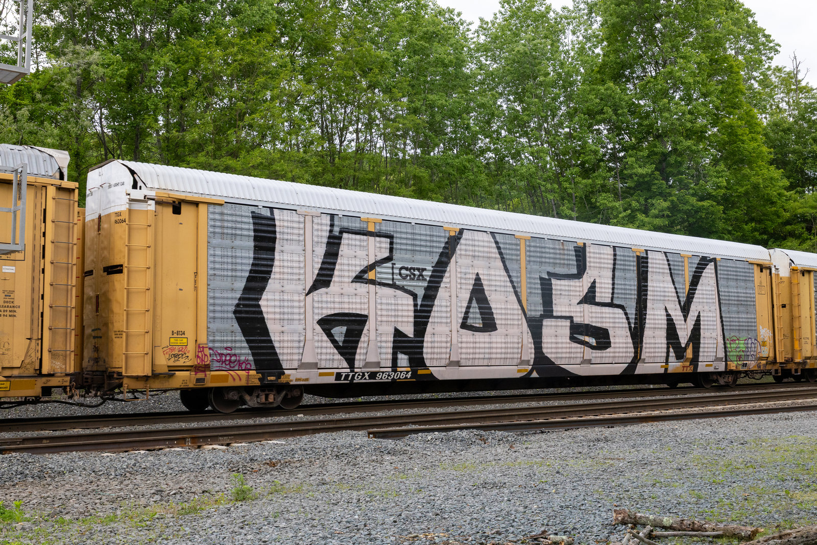 TTGX 963064