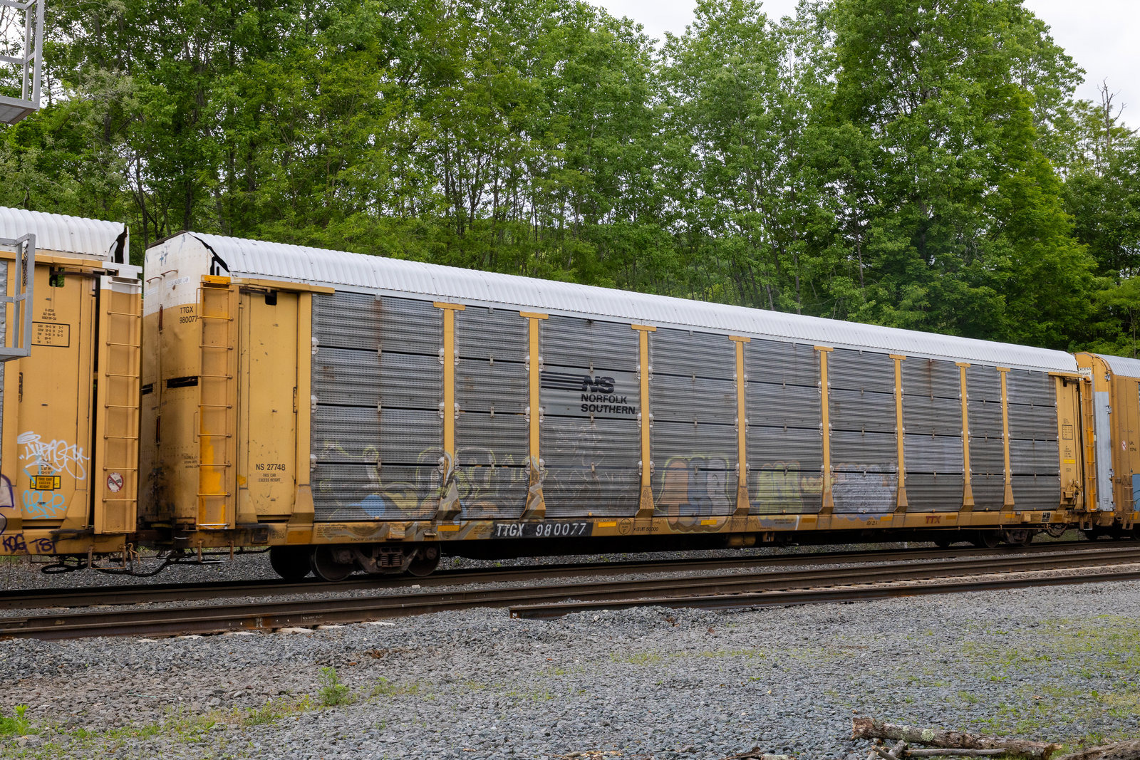 TTGX 980077