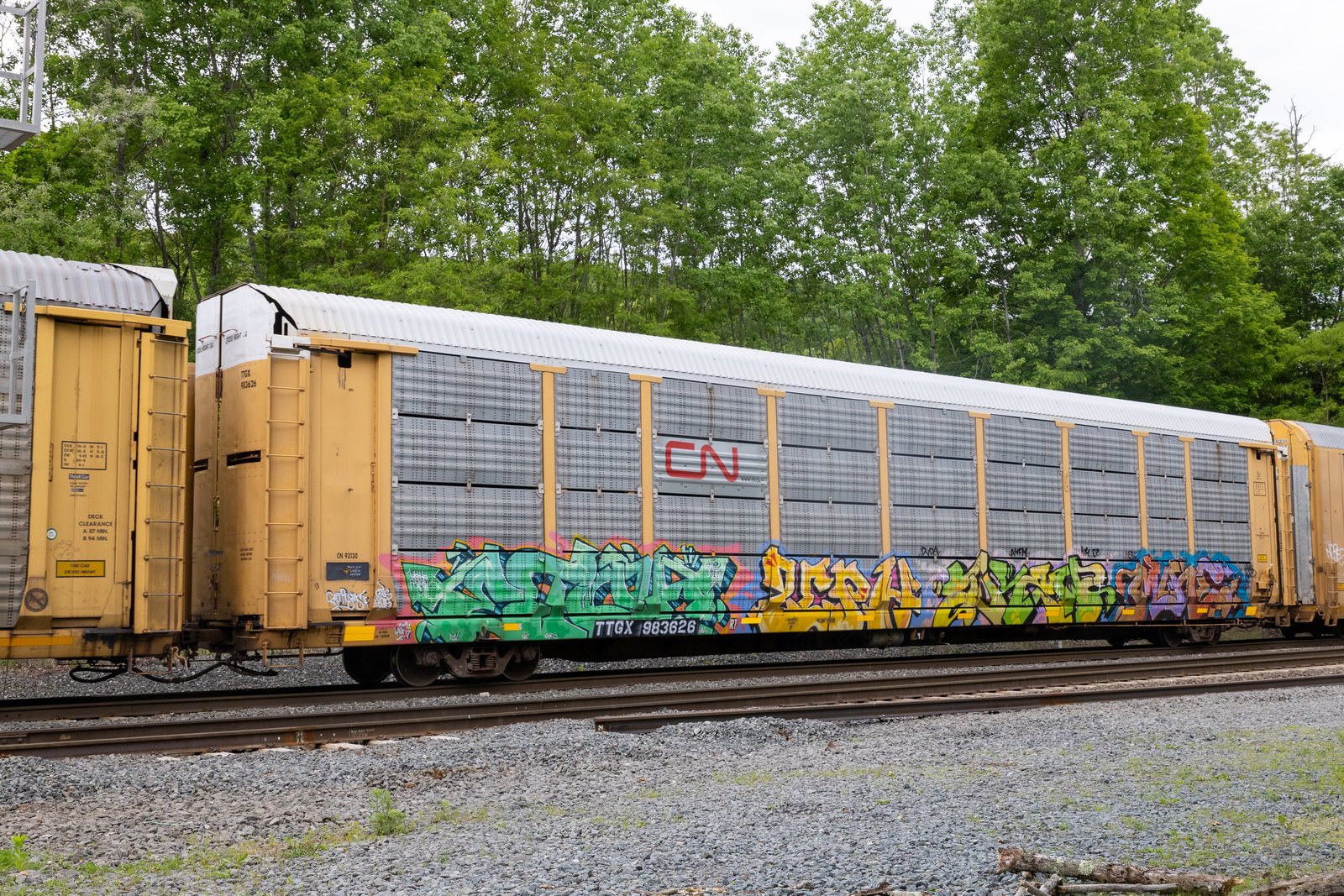 TTGX 983626