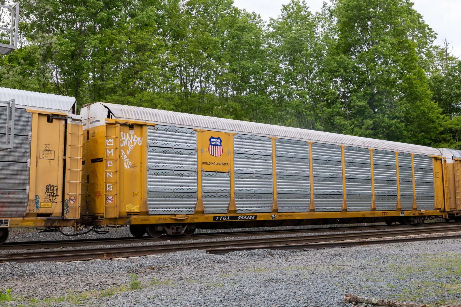 TTGX 990455