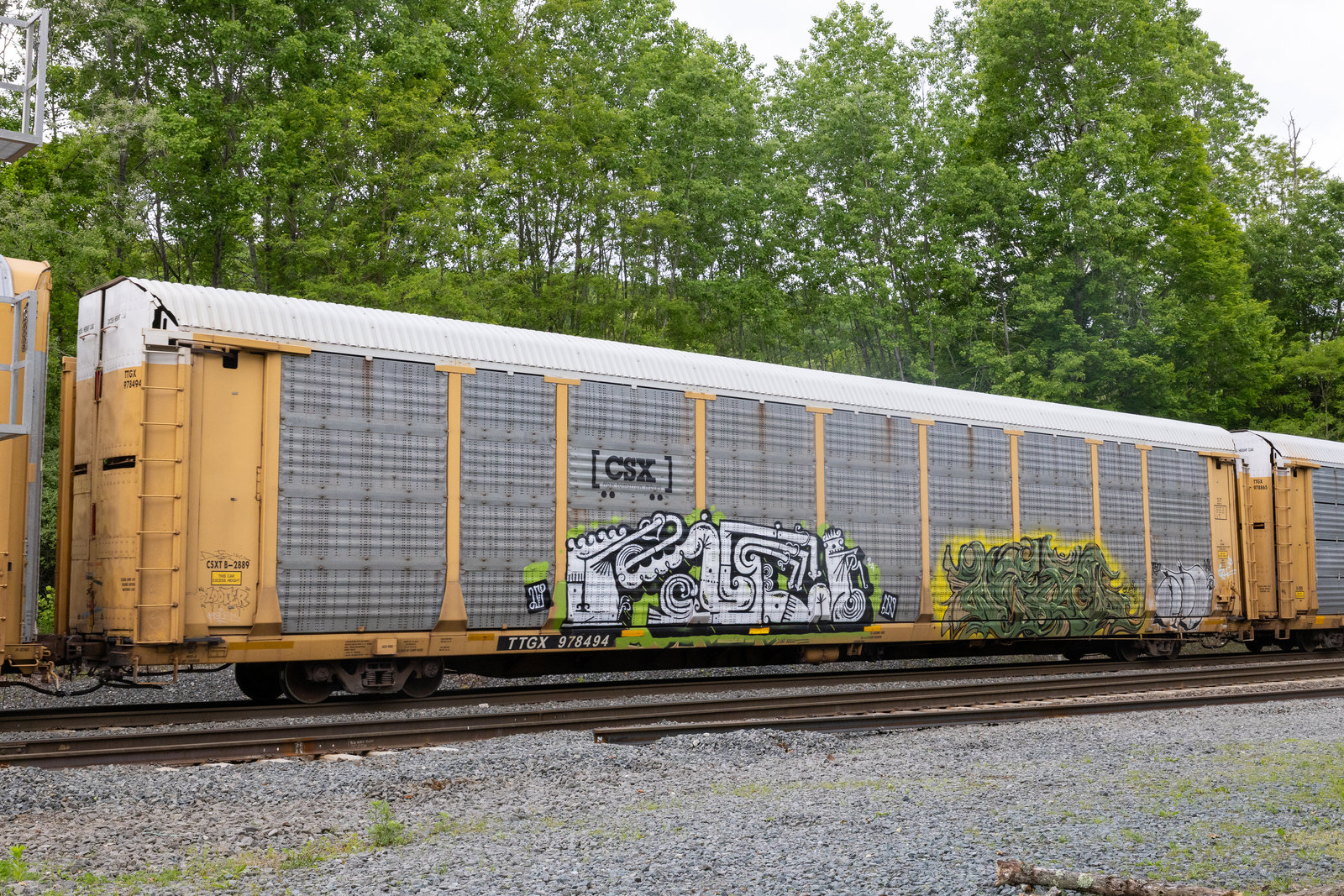 TTGX 978494