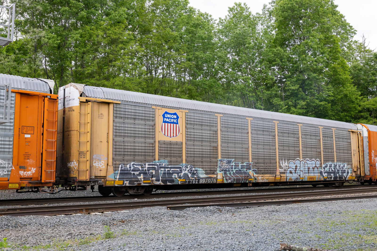 TTGX 997076