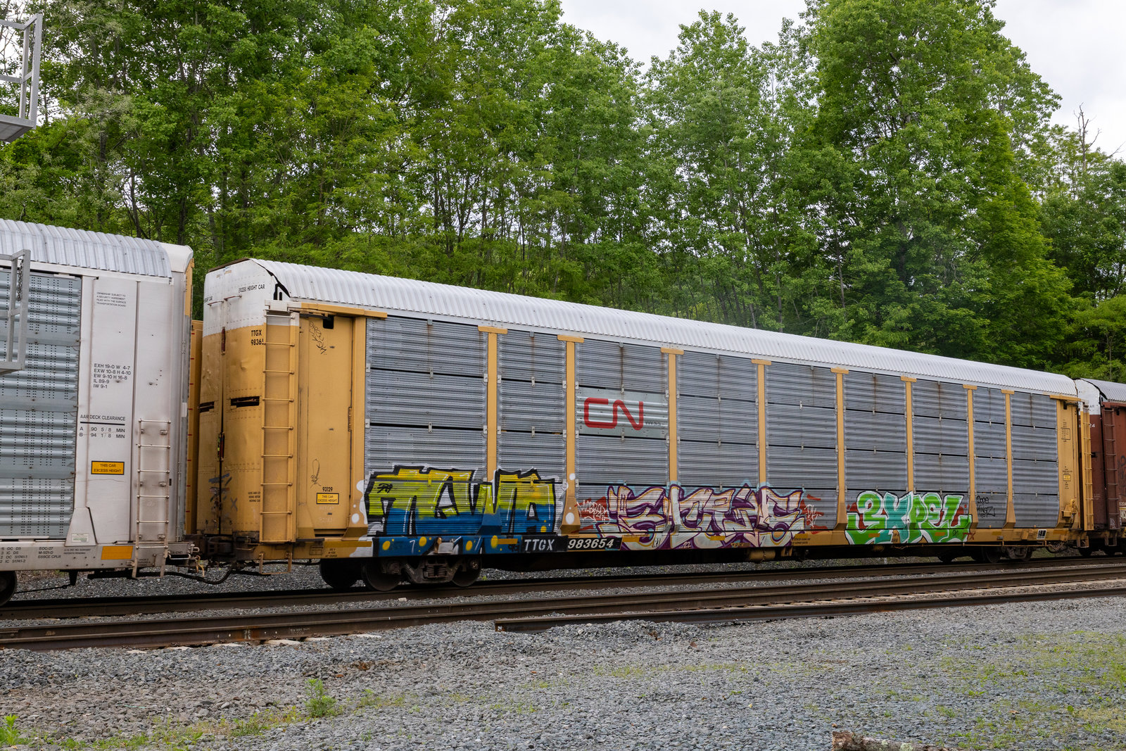 TTGX 983654