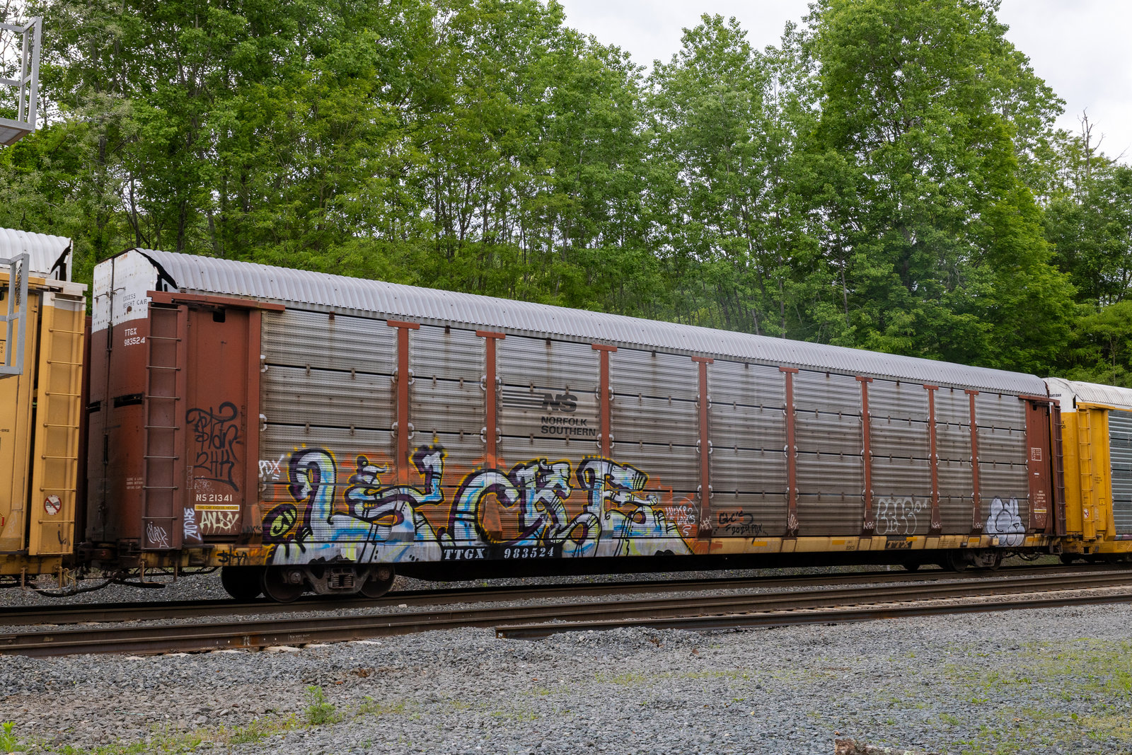 TTGX 983524