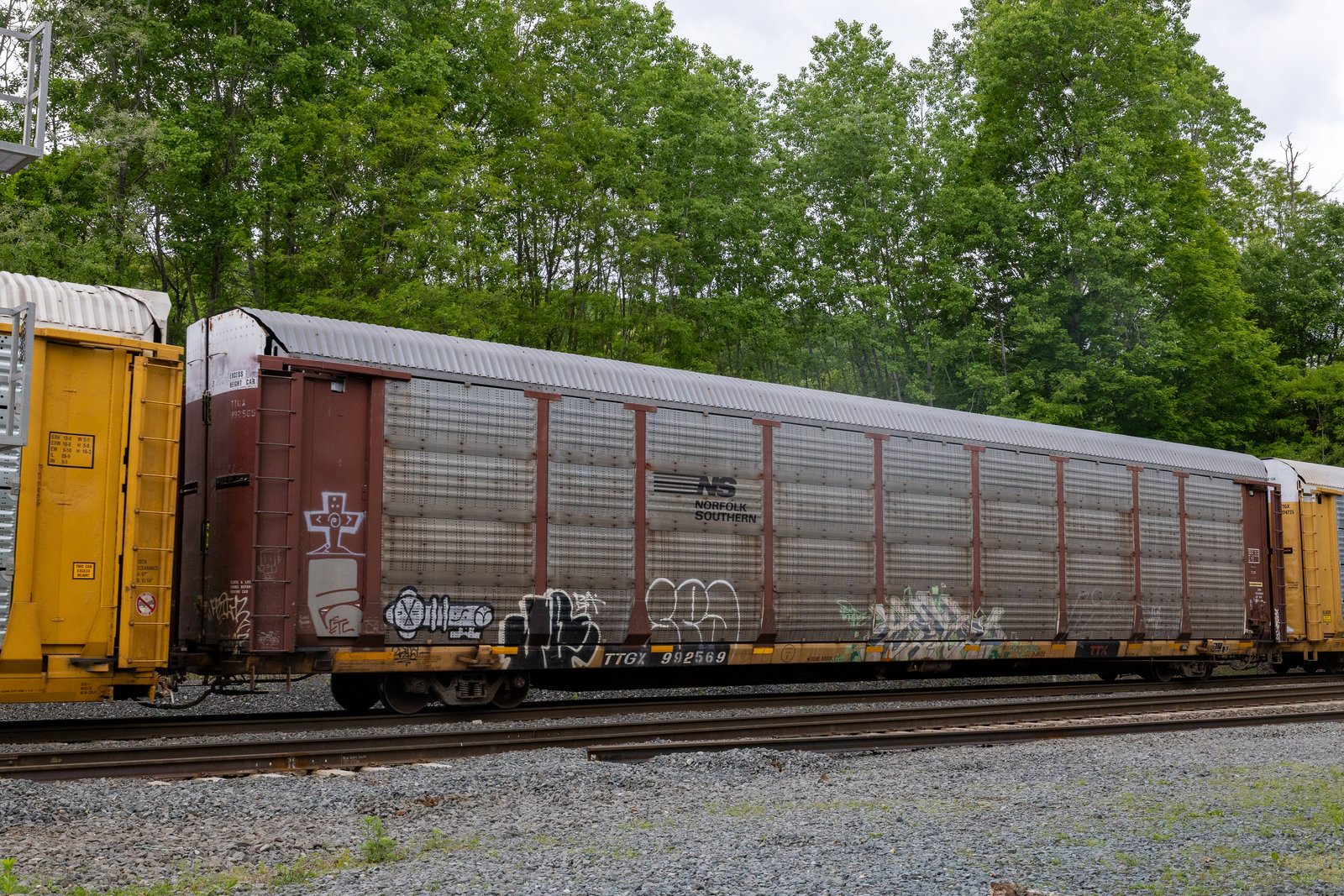 TTGX 992569