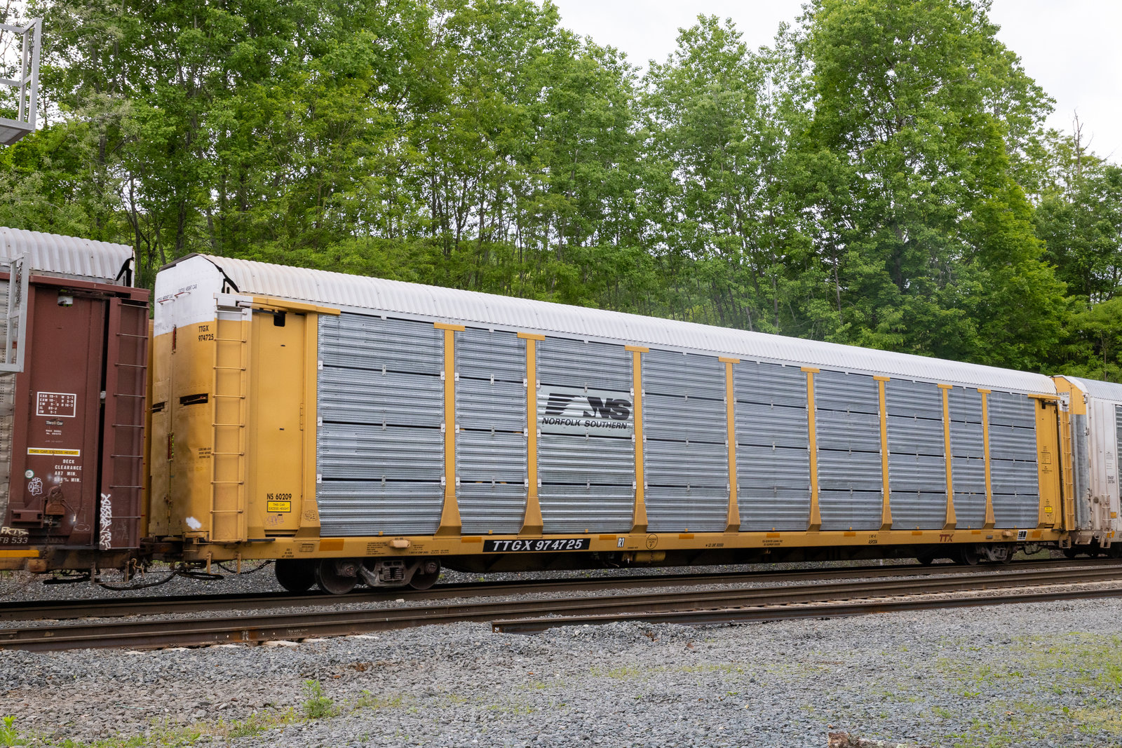 TTGX 974725