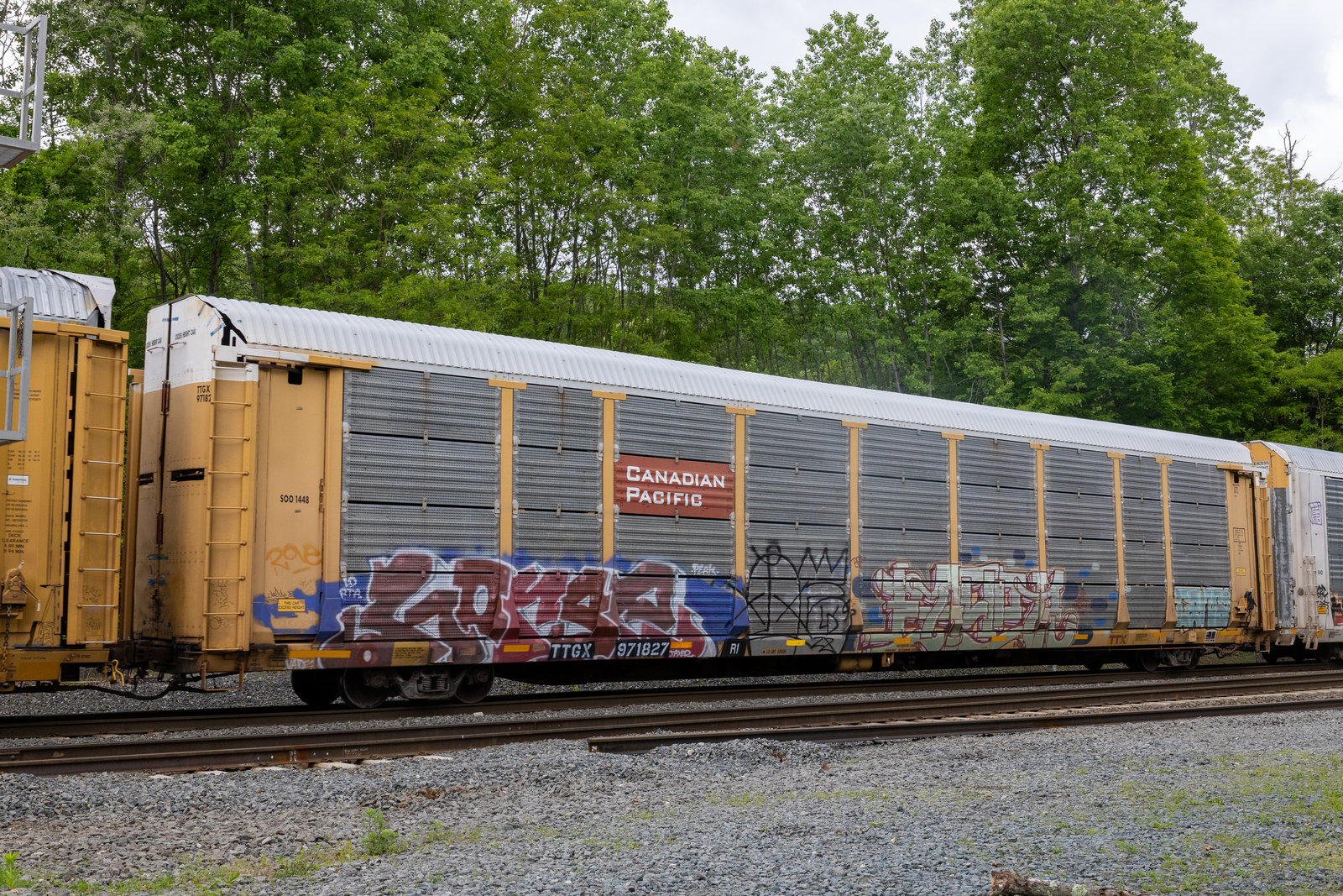 TTGX 971827