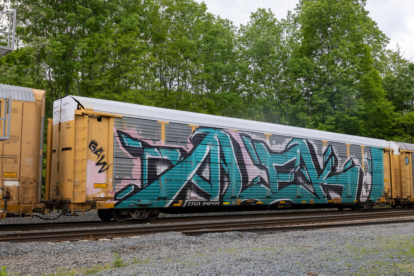 TTGX 942414