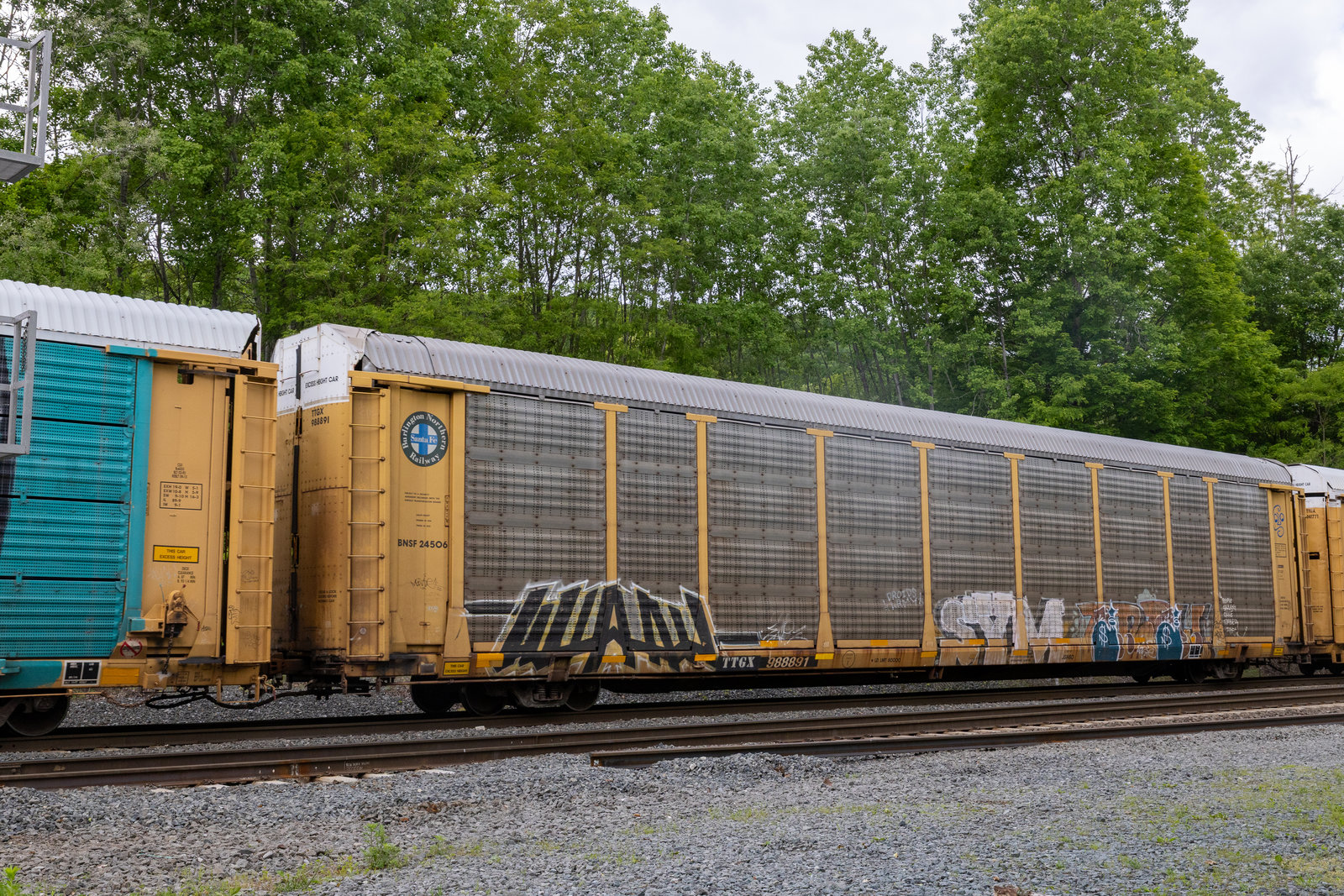 TTGX 988891