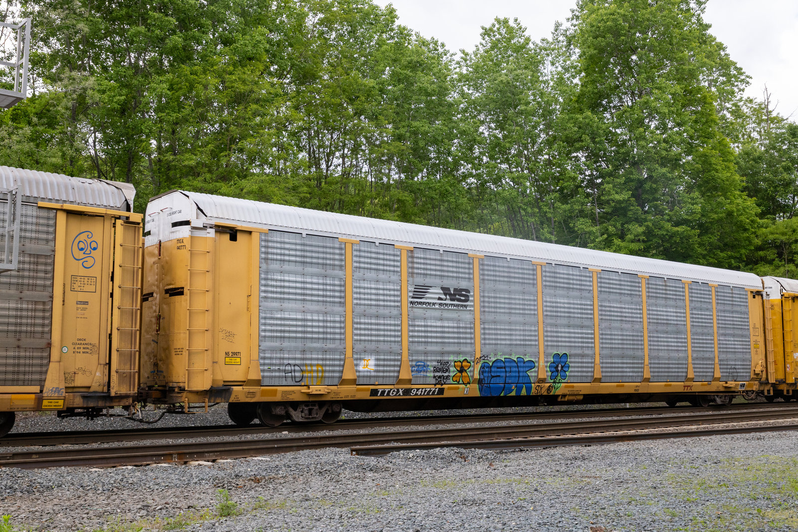 TTGX 941771