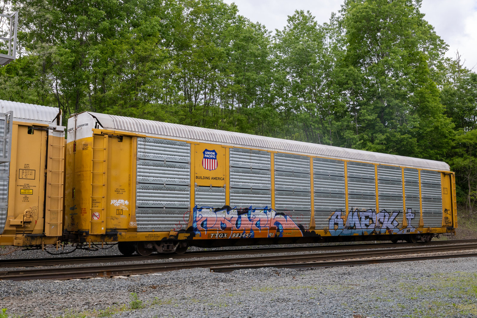 TTGX 983457