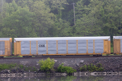 TTGX 990333