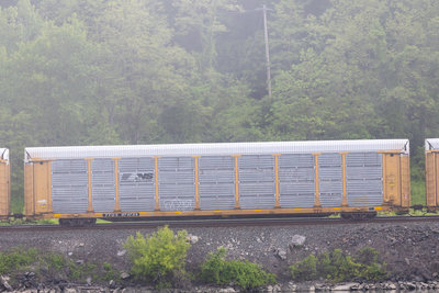 TTGX 974734