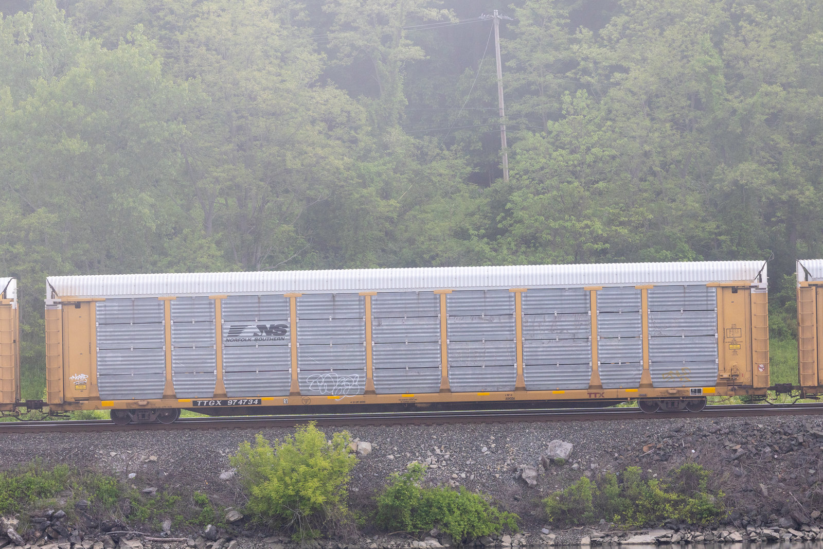 TTGX 974734
