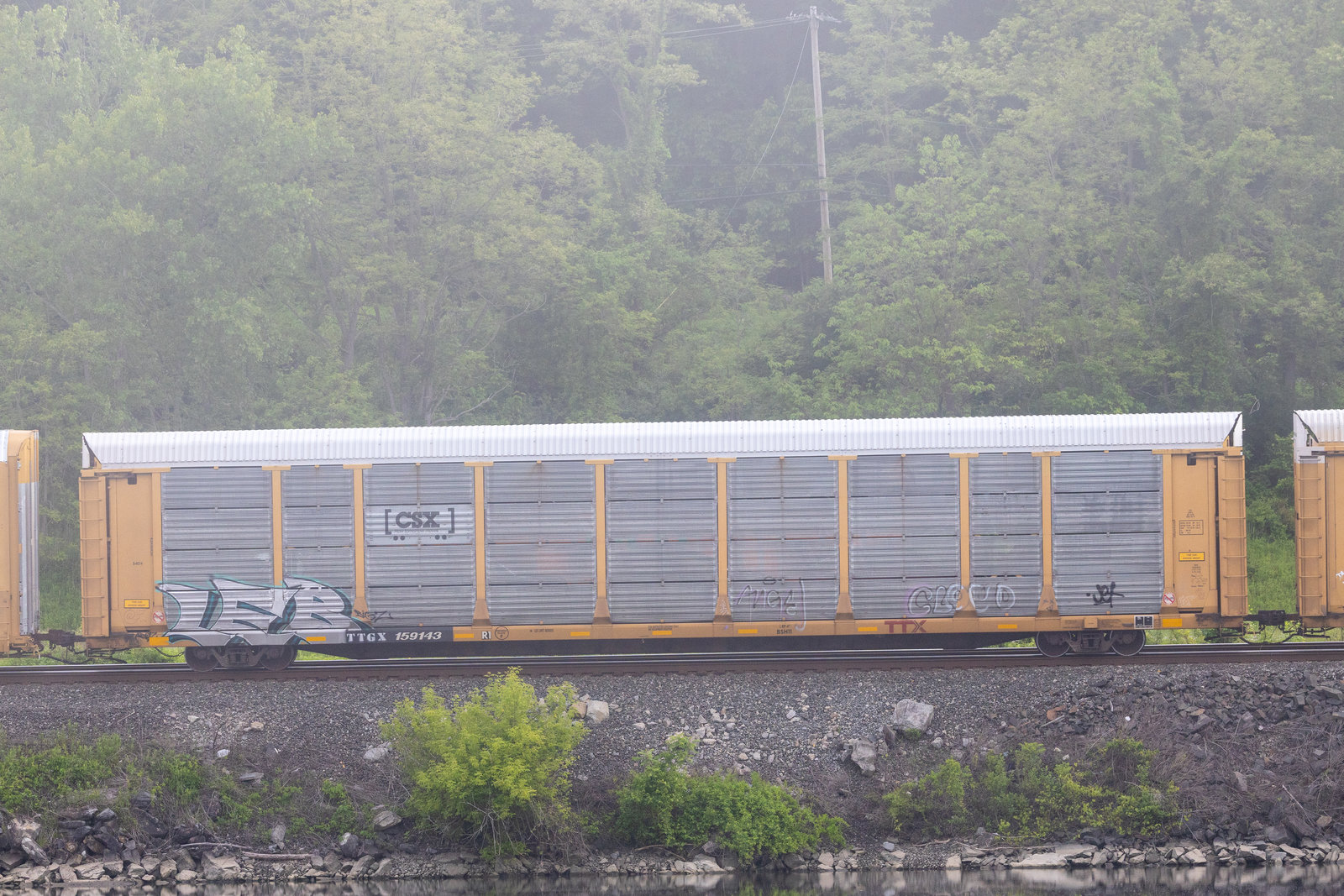 TTGX 159143