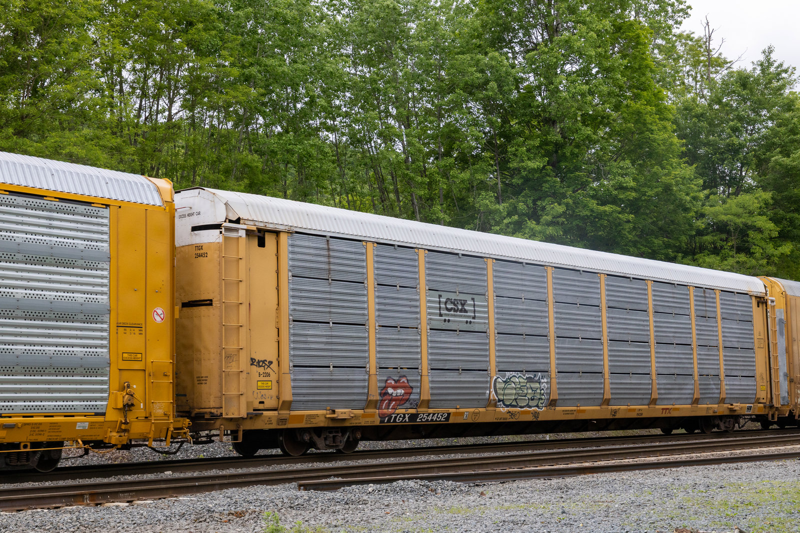 TTGX 254452
