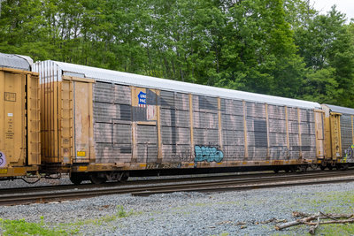 TTGX 253908