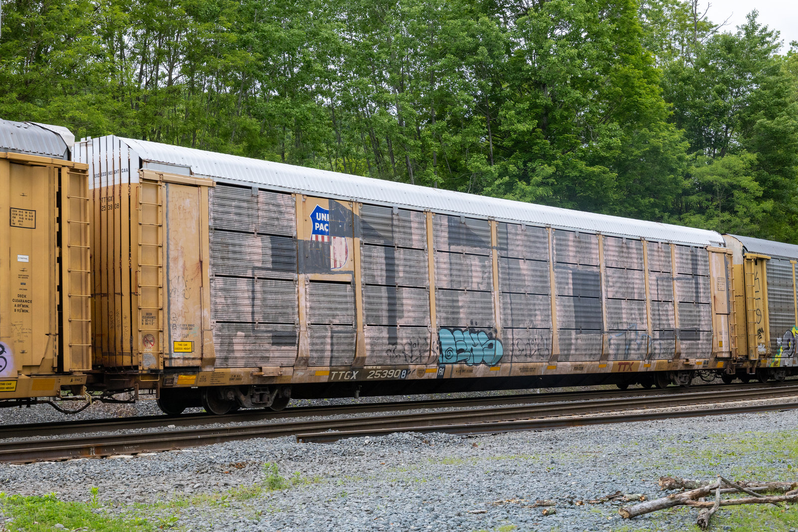 TTGX 253908