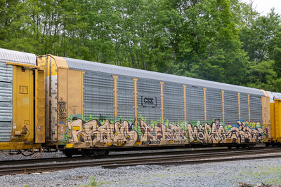 TTGX 715694