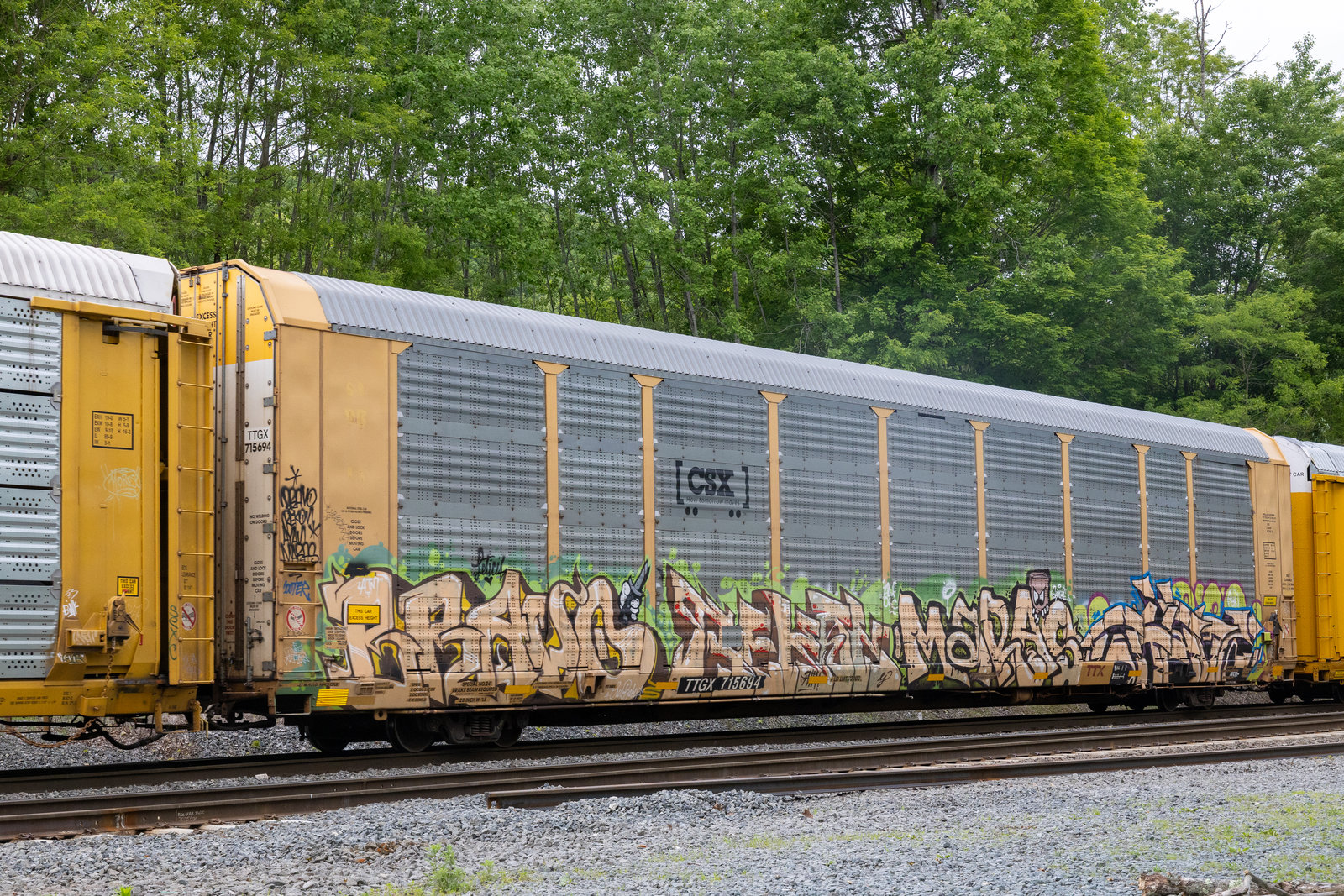 TTGX 715694