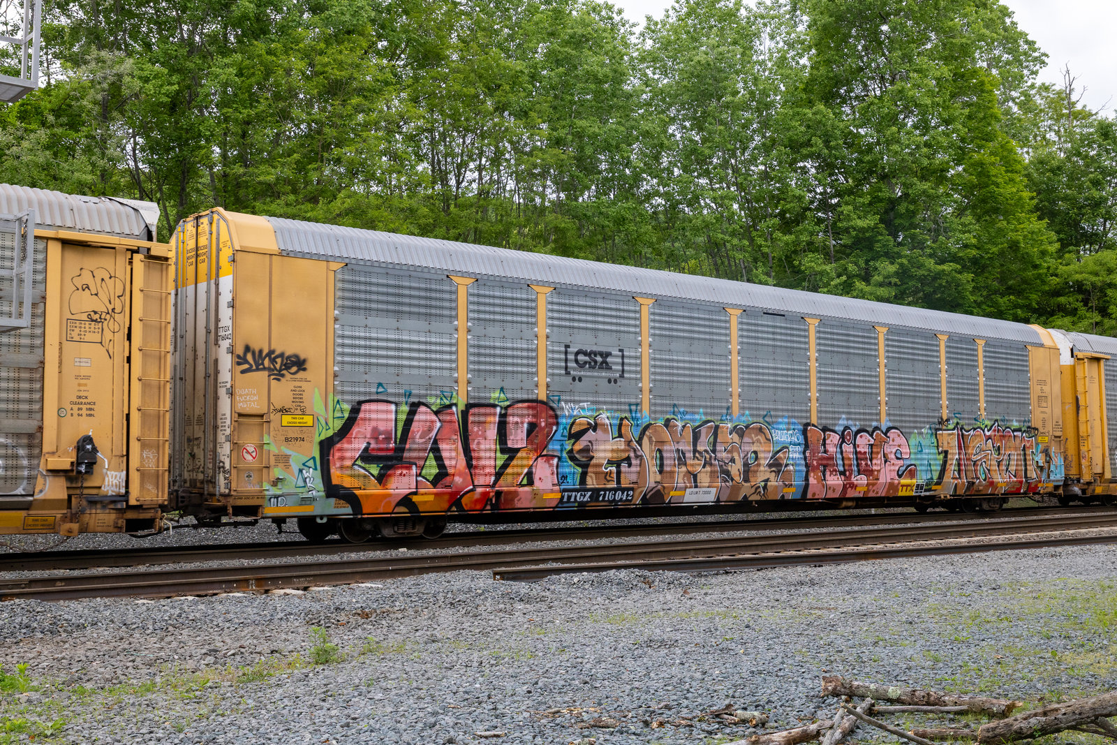 TTGX 716042