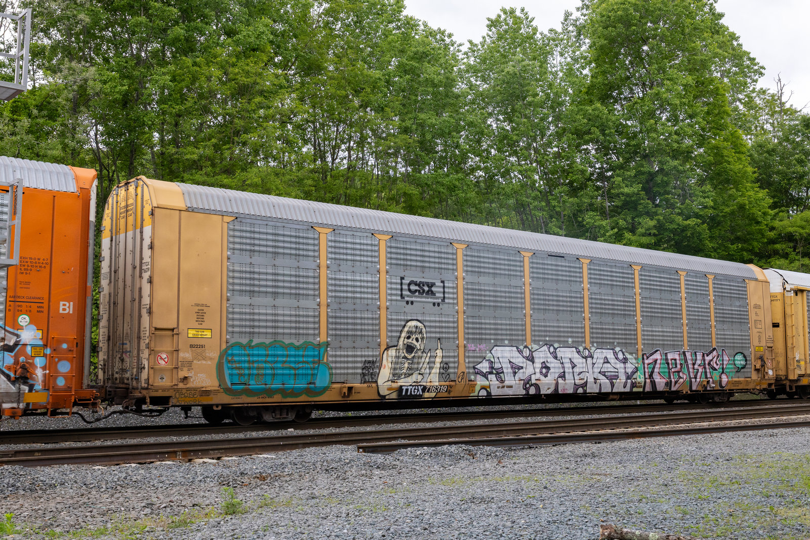 TTGX 716319