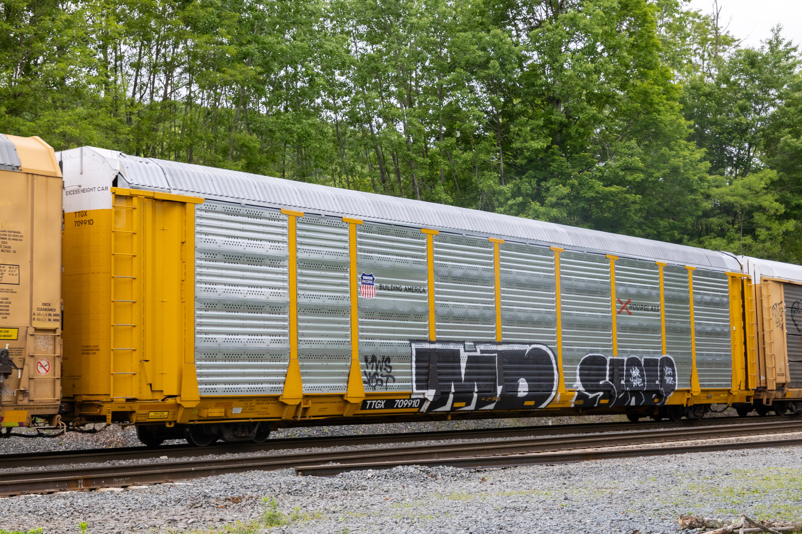 TTGX 709910