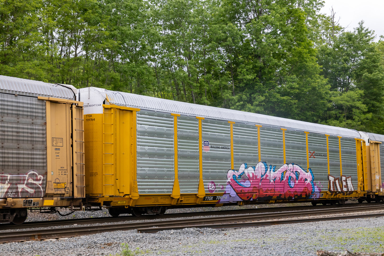 TTGX 709764