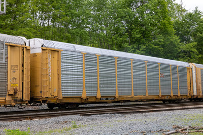 TTGX 701727