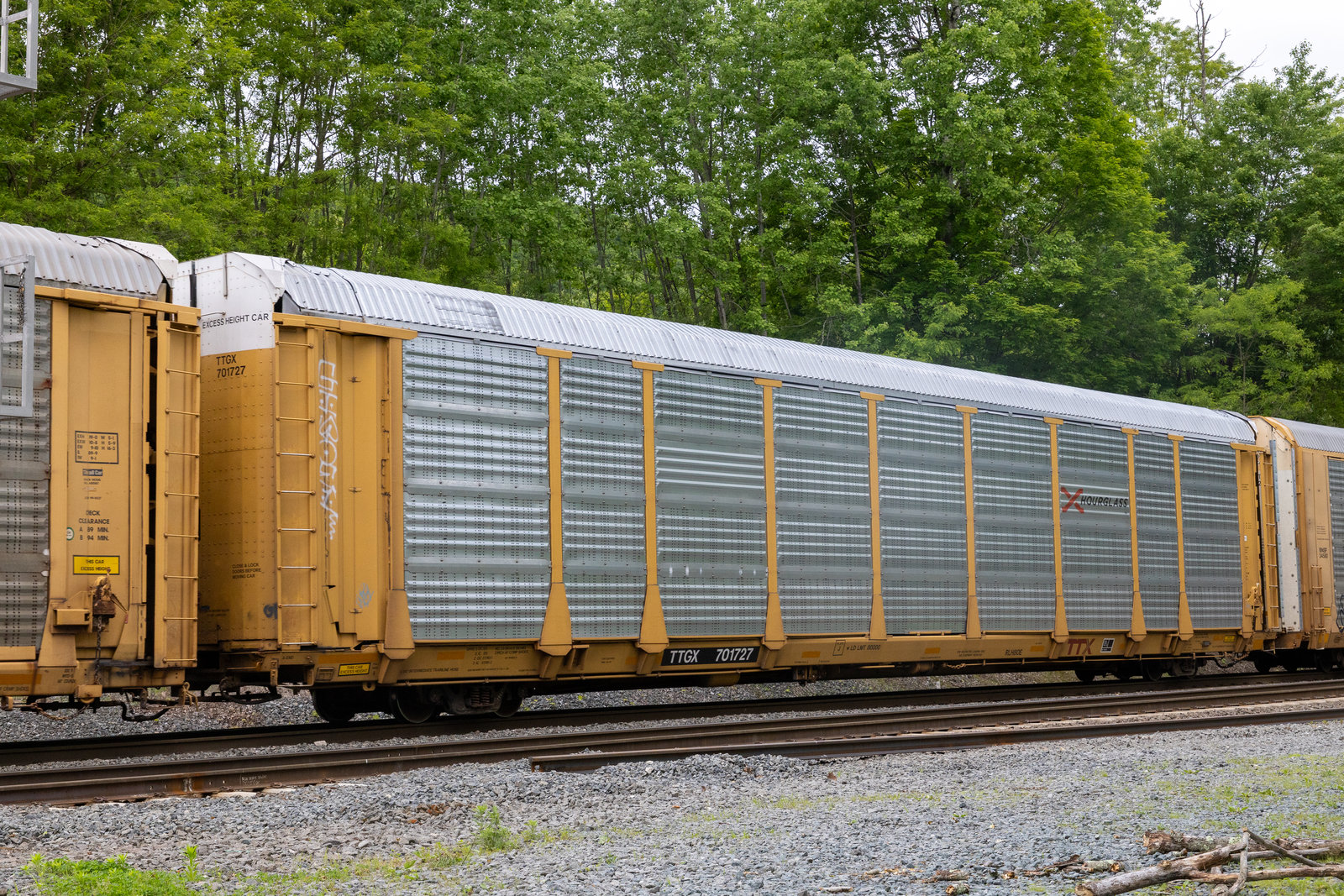 TTGX 701727