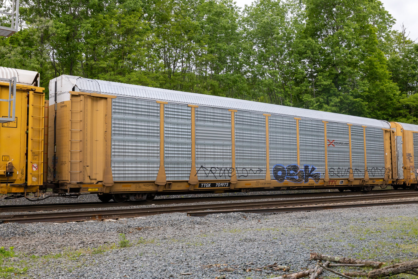 TTGX 701973