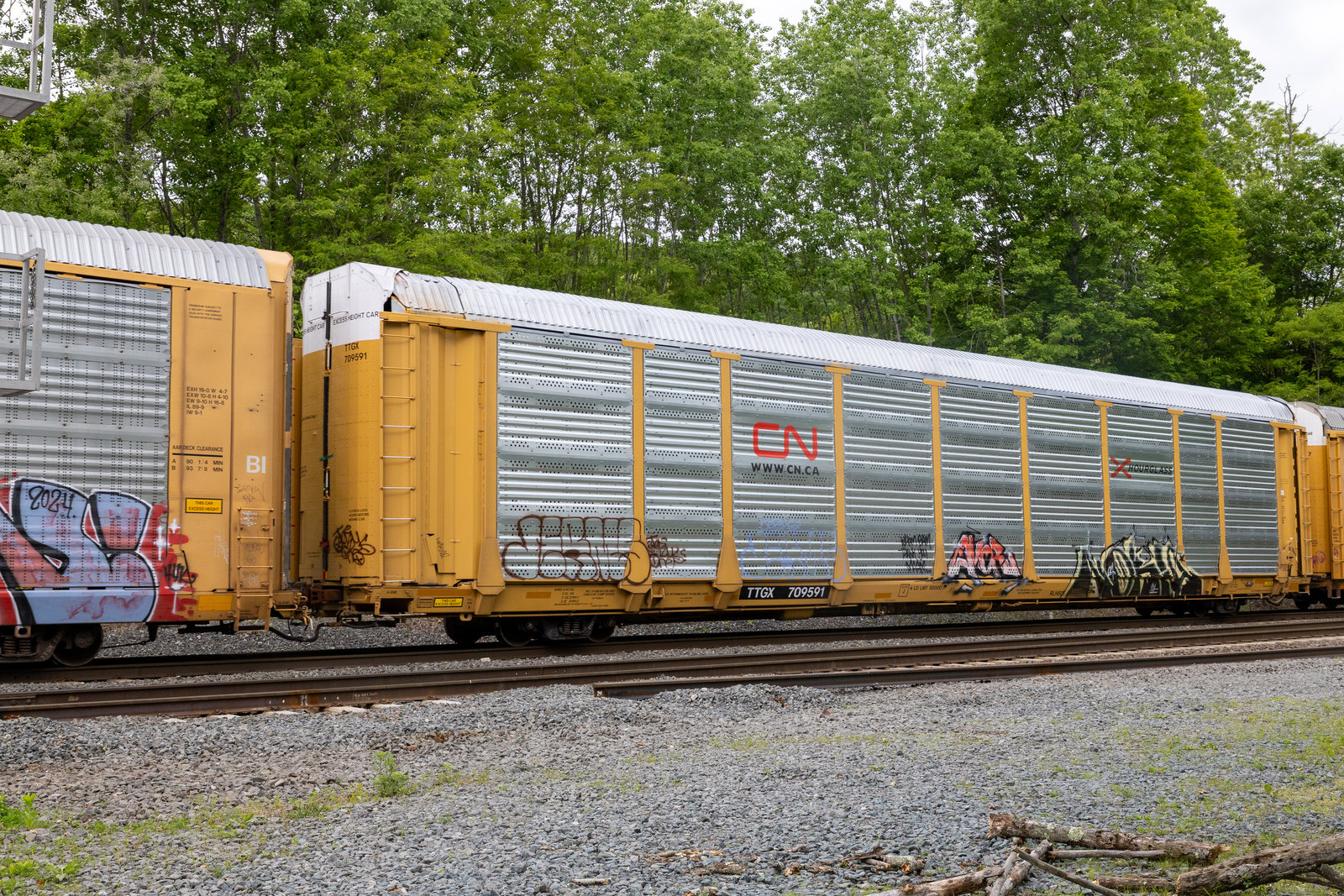 TTGX 709591