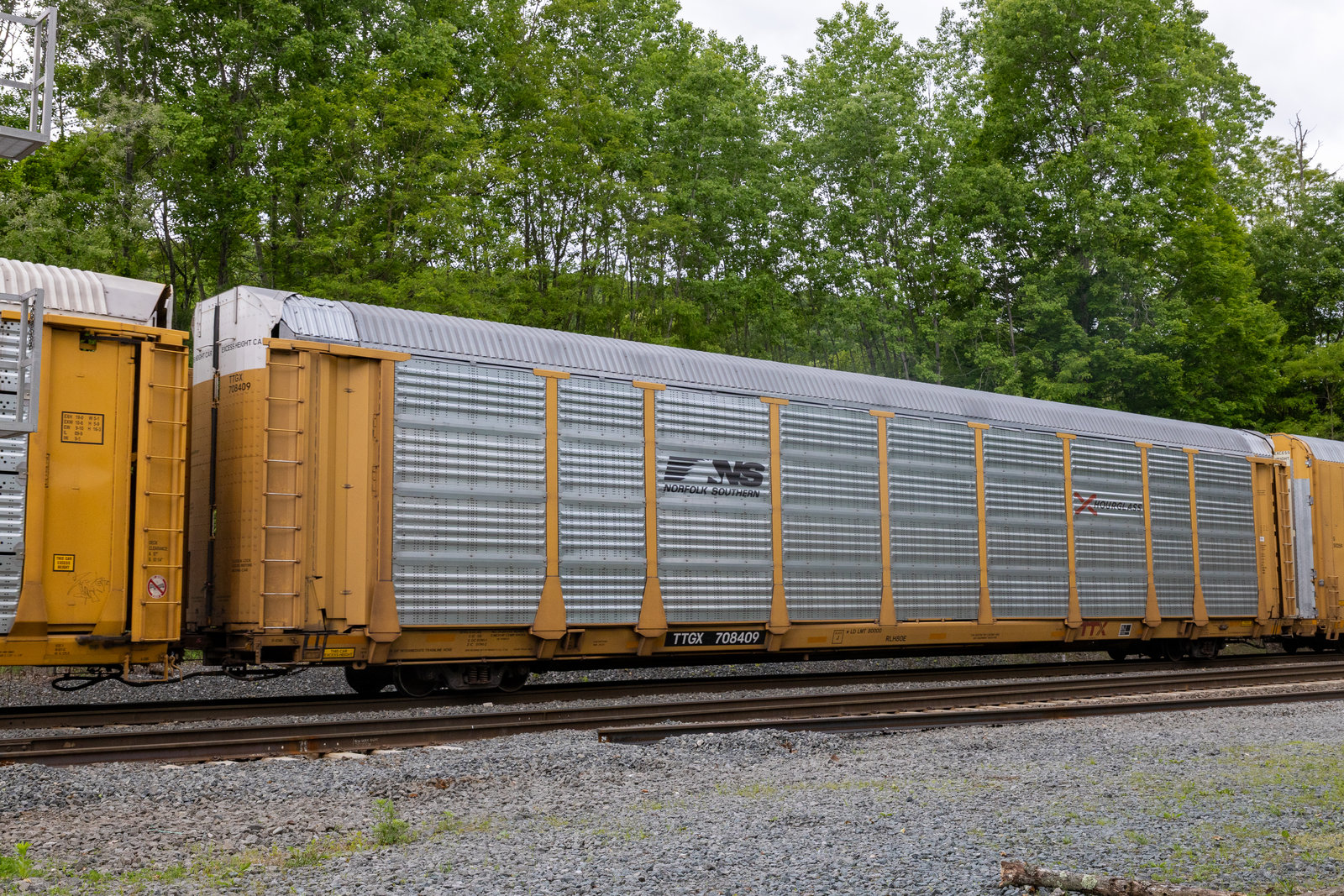 TTGX 708409