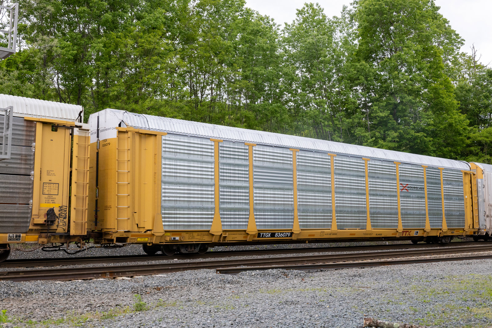 TTGX 836079