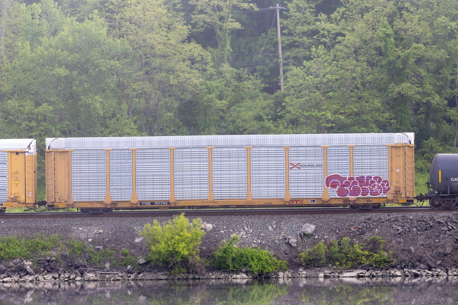 TTGX 701743