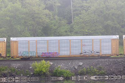TTGX 708981