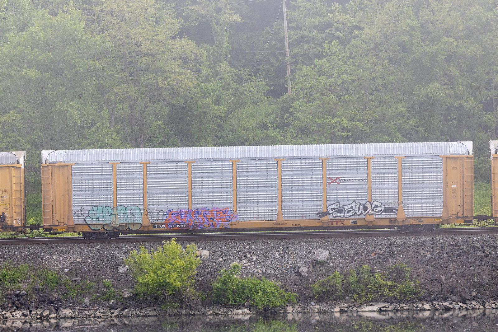 TTGX 708981