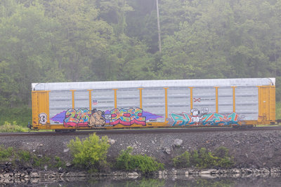 TTGX 709934
