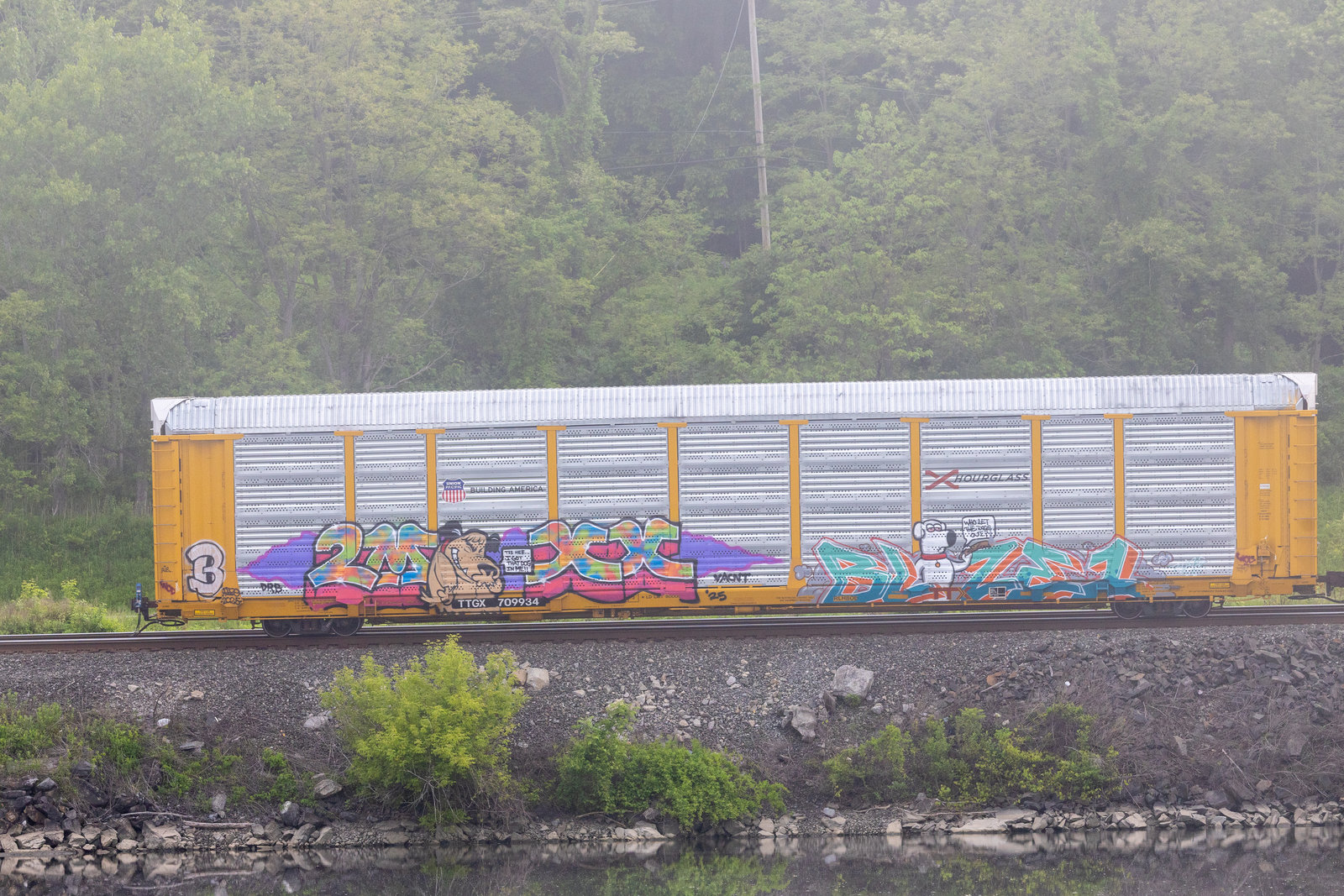 TTGX 709934