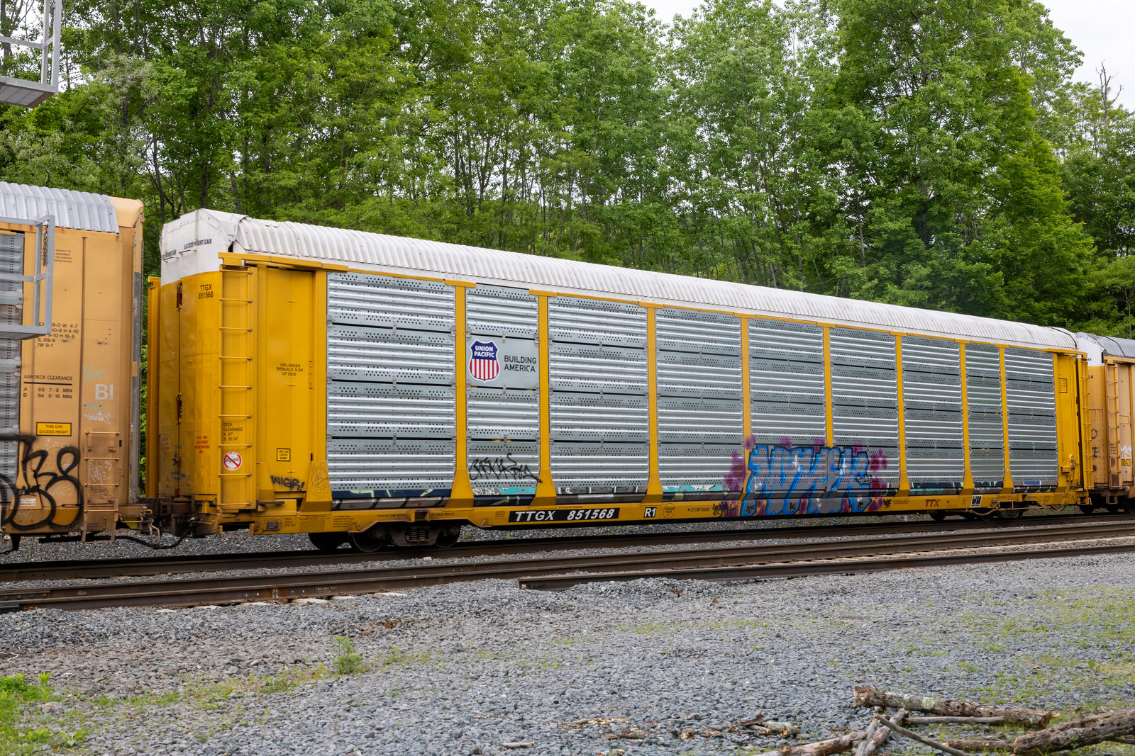 TTGX 851568