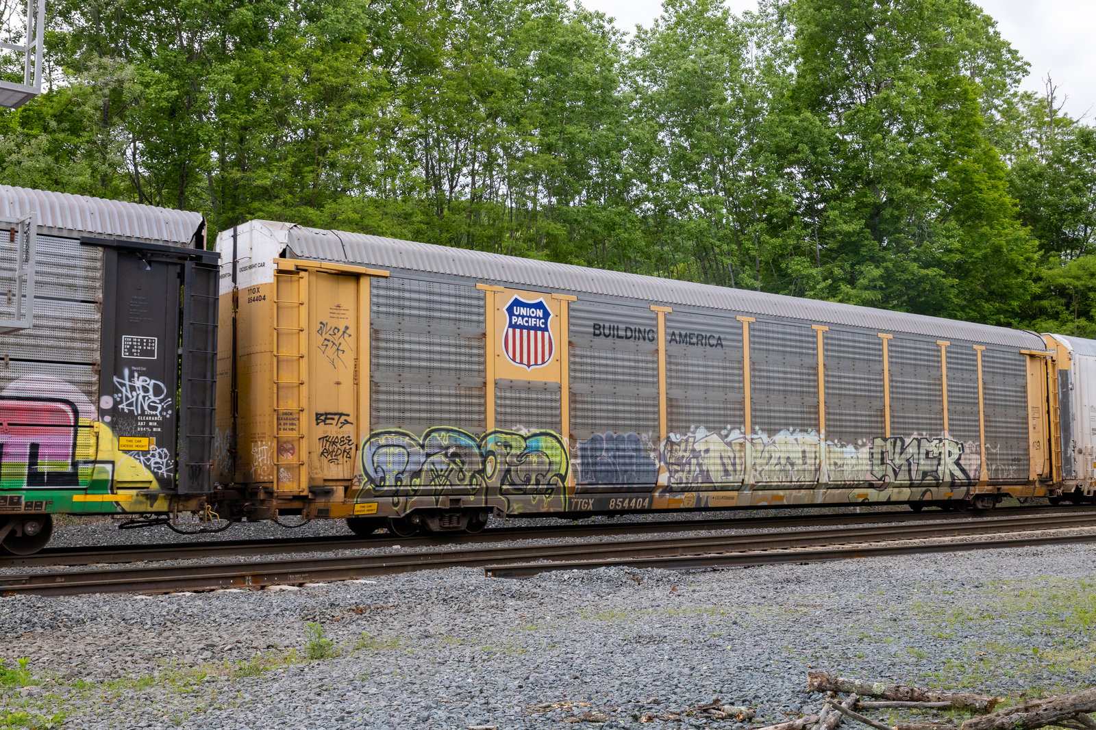 TTGX 854404