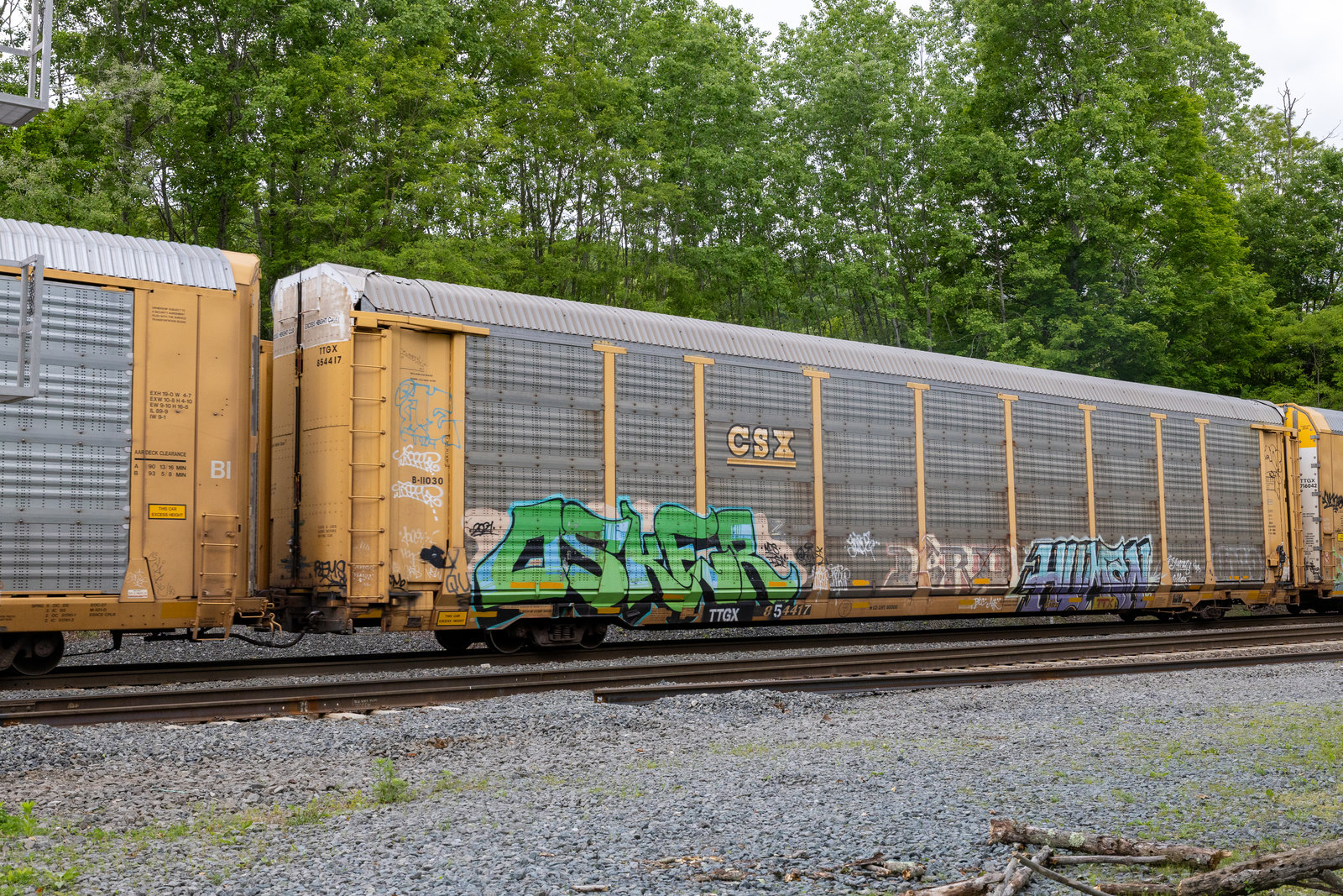TTGX 854417