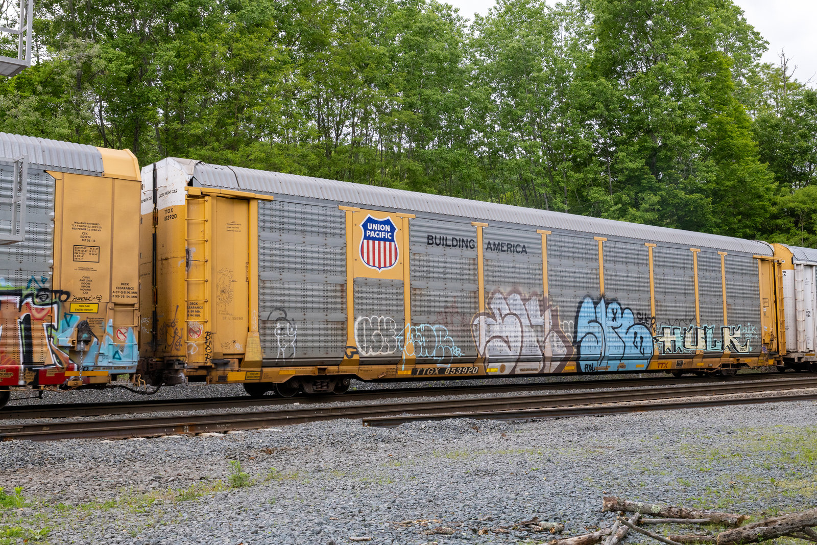 TTGX 853920