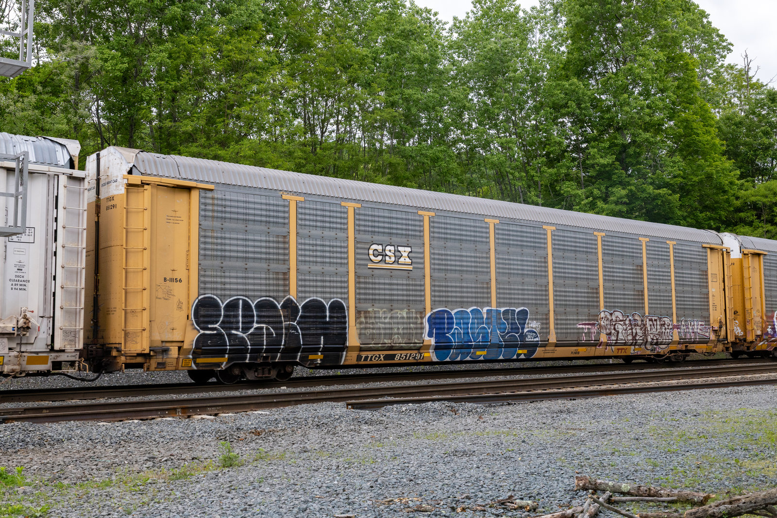 TTGX 851291