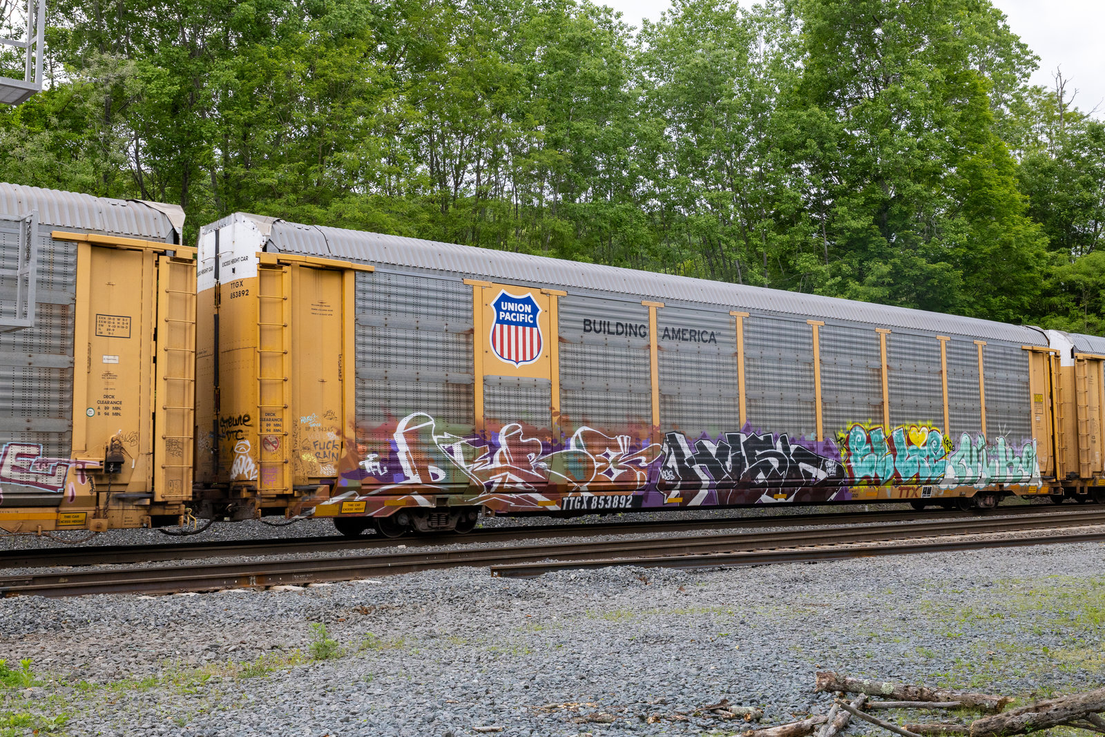 TTGX 853892