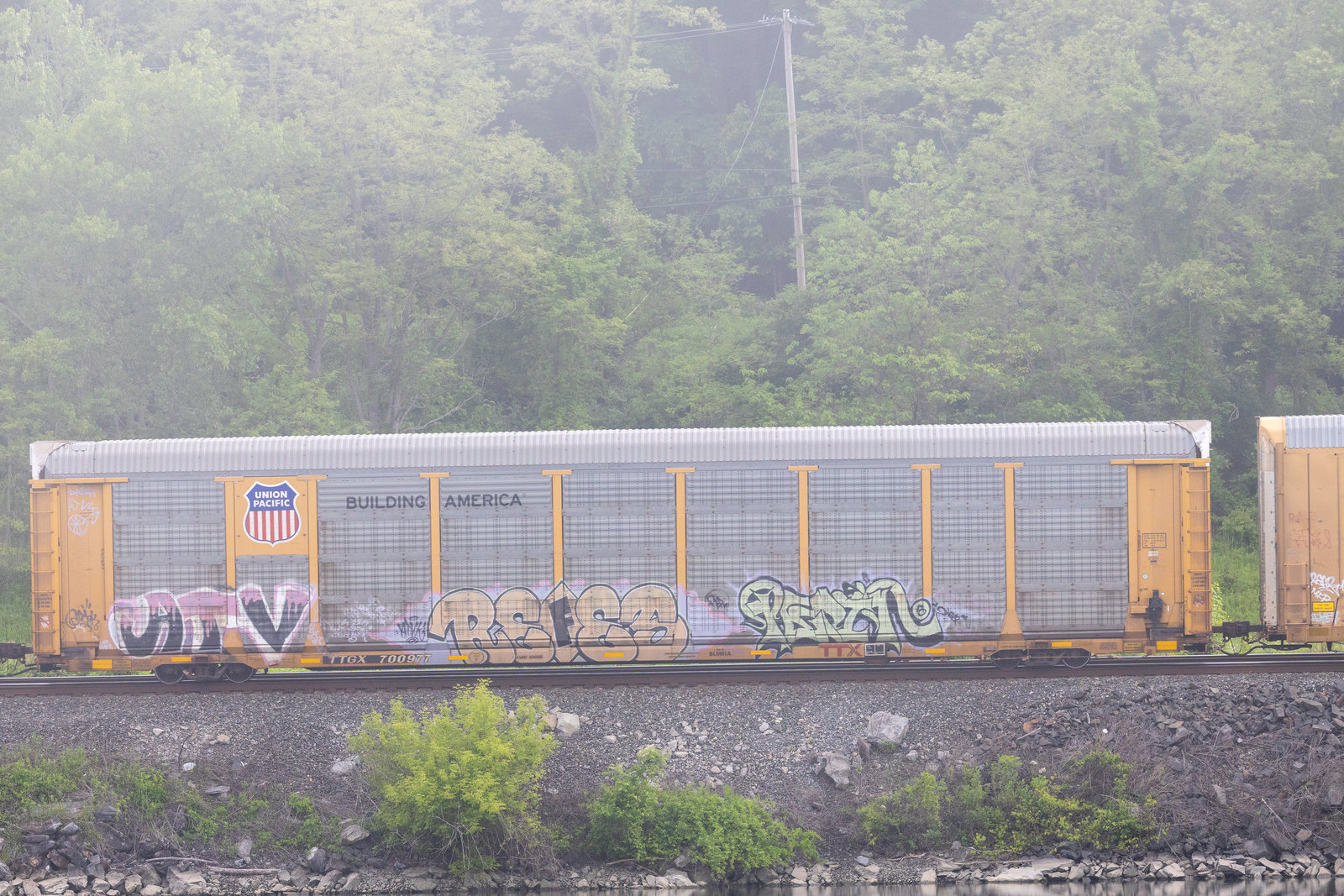 TTGX 700977