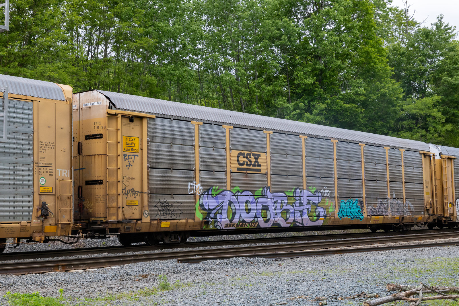 ETTX 710198