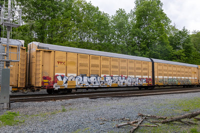 BTTX 880193