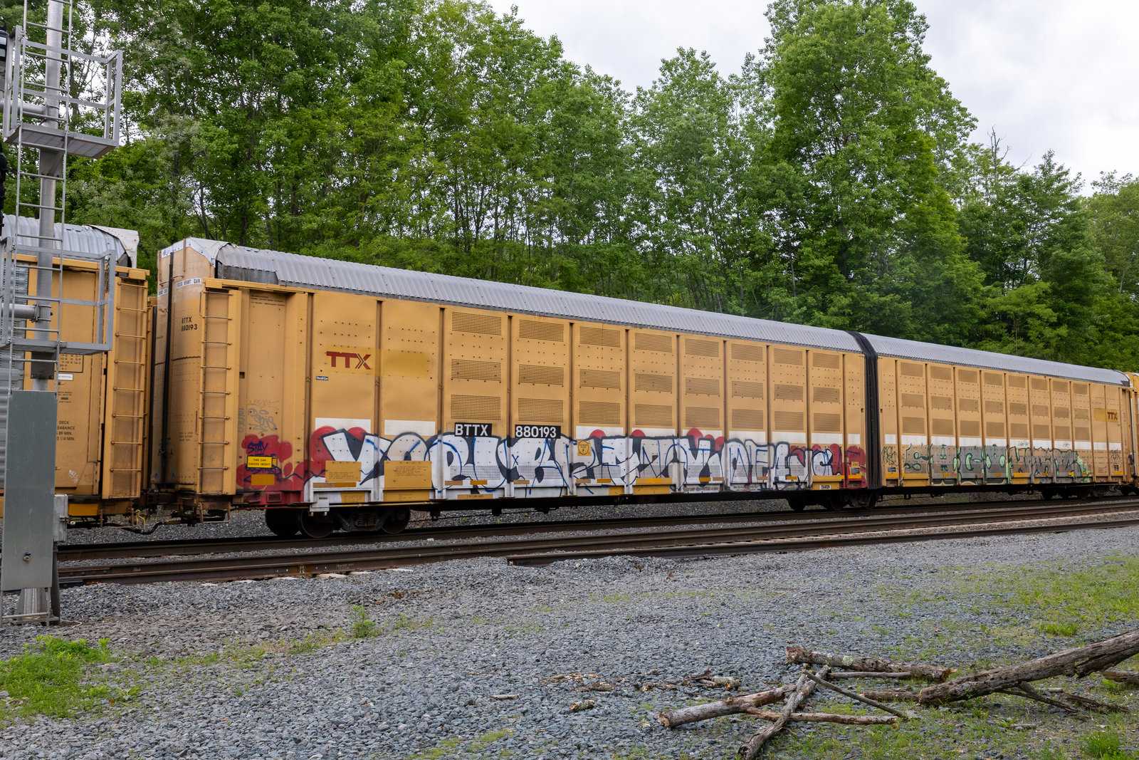 BTTX 880193