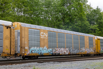 CTTX 694137